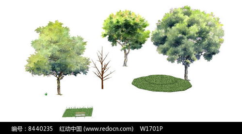 探寻自然之美 8440235号卵圆形乔木SU模型下载指南